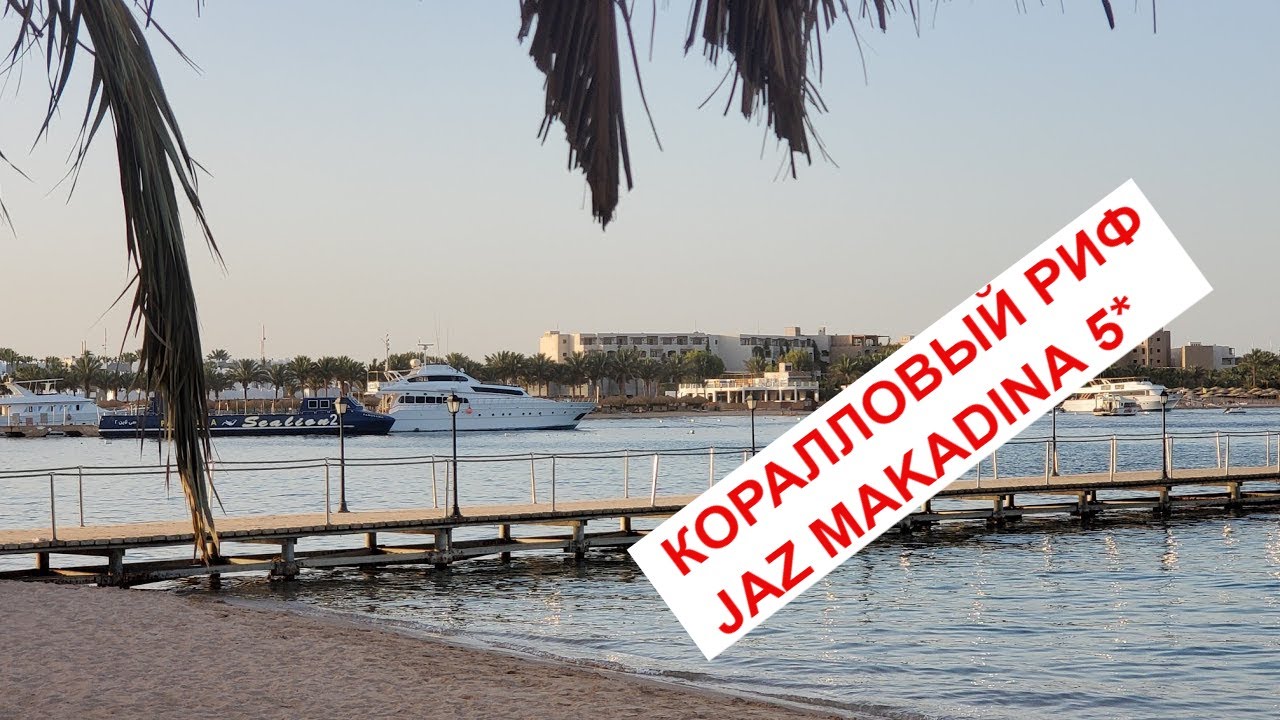 КОРАЛЛОВЫЙ РИФ Отеля Jaz Makadina 5 / Египет / Макади Бей