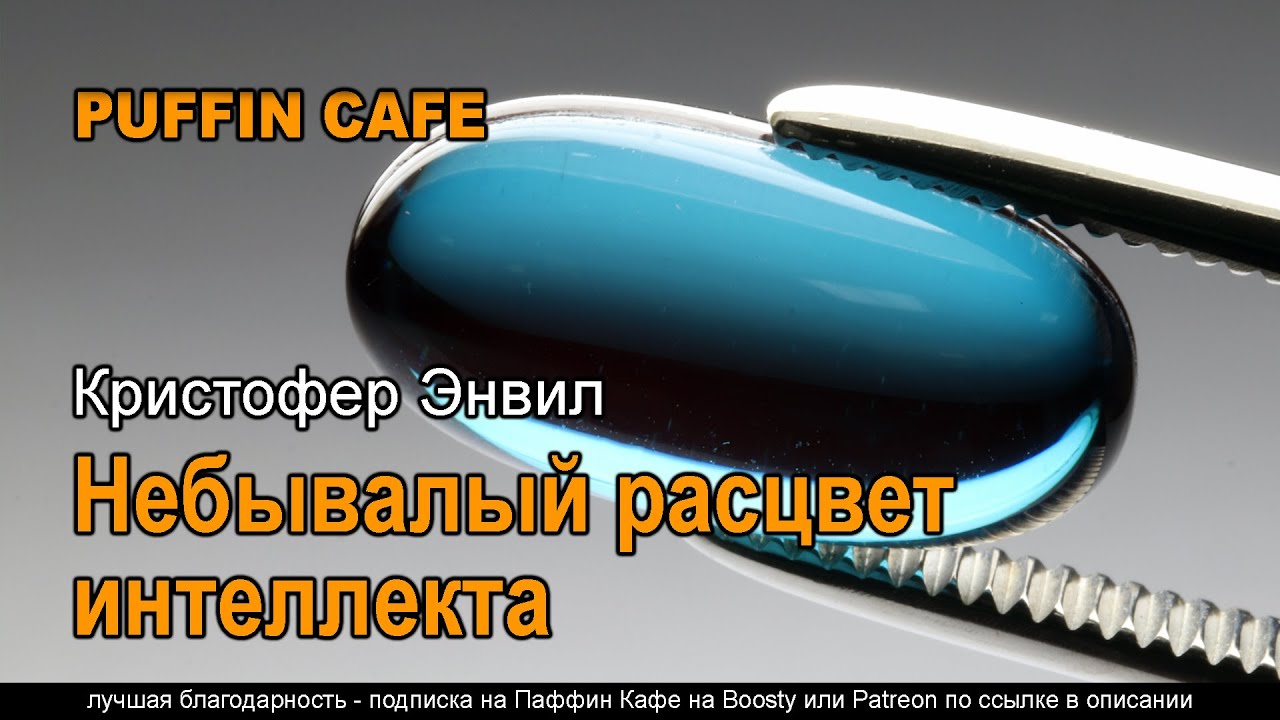 The Great Intellect Boom 1969 Энвил Кристофер аудиокнига фантастика юмор сатира рассказ