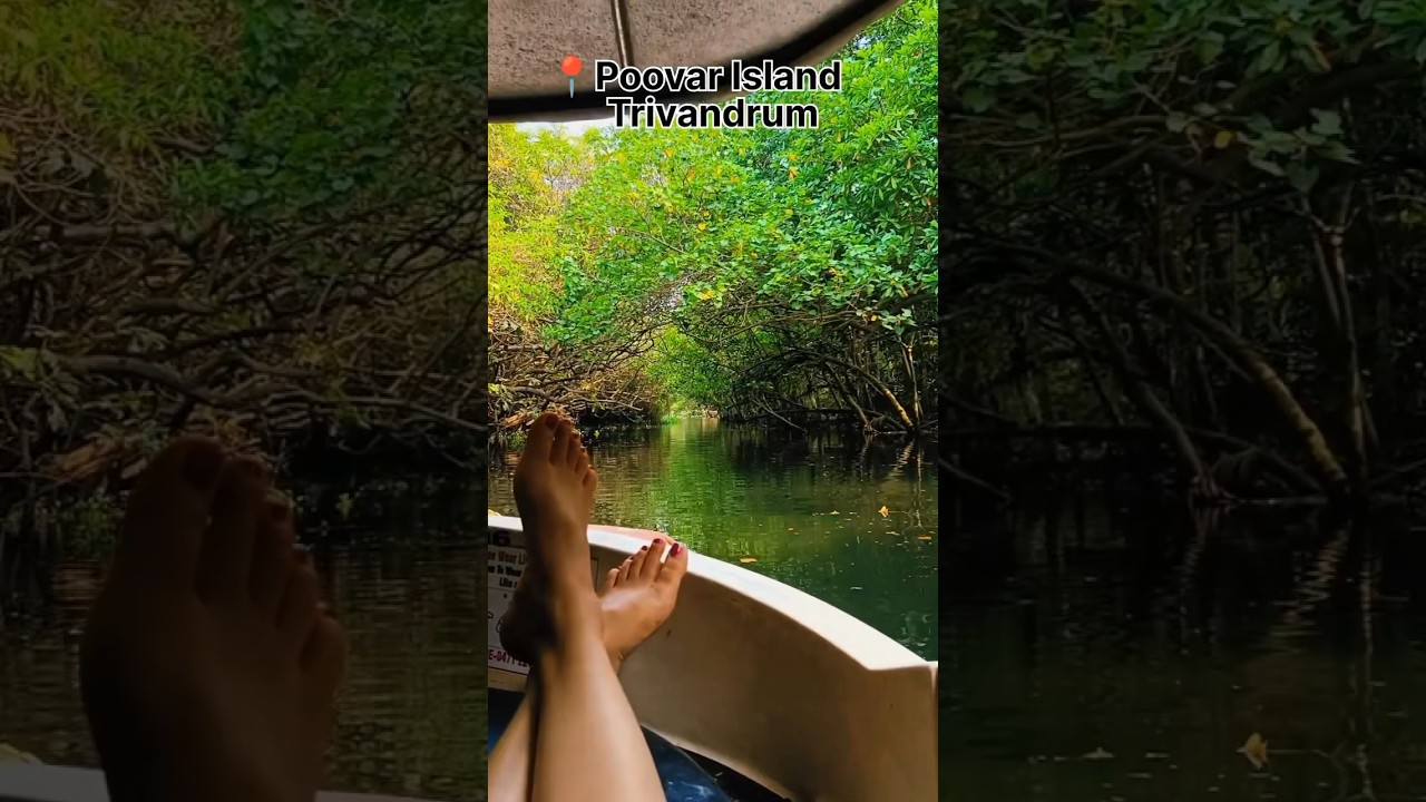 Poovar Backwater | Poovar Island Boating | kerala #shorts #poovar #backwaters #boating #travel