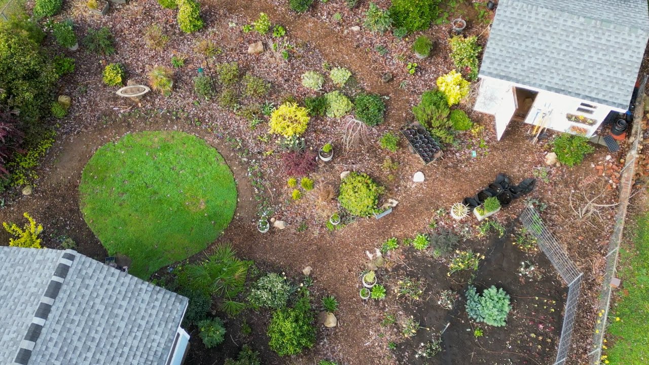 Garden Redesign