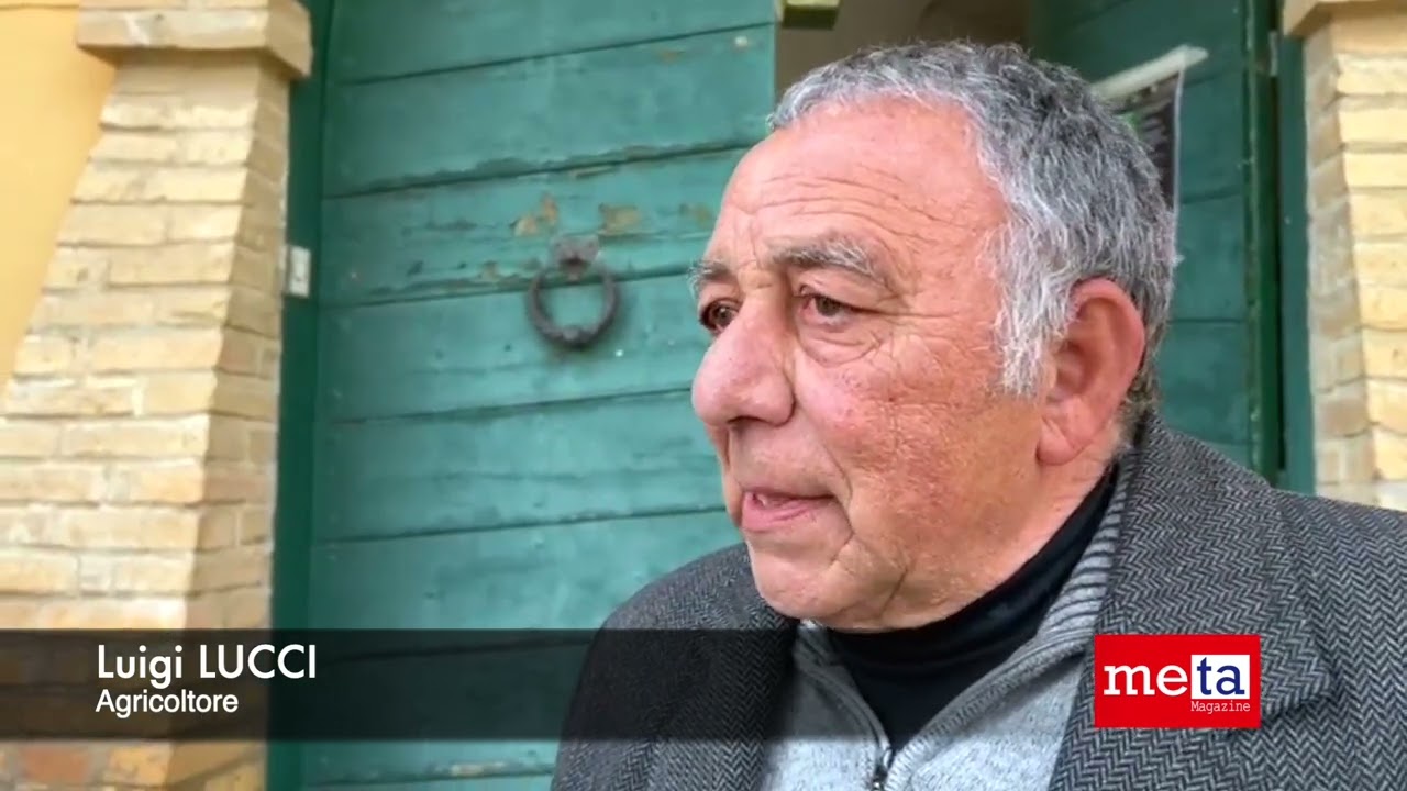 Innovazioni di prodotto e di progetto in olivicoltura