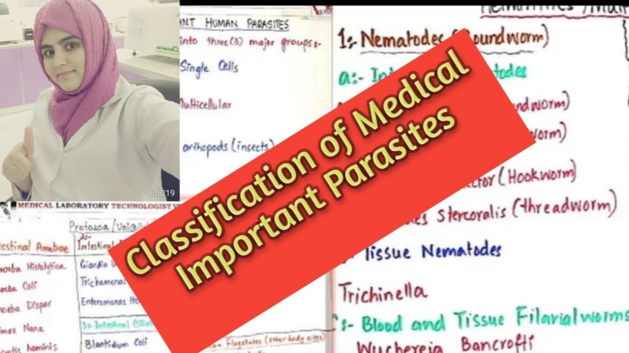 Classification of medically important Human Parasites in Urdu and Hindi