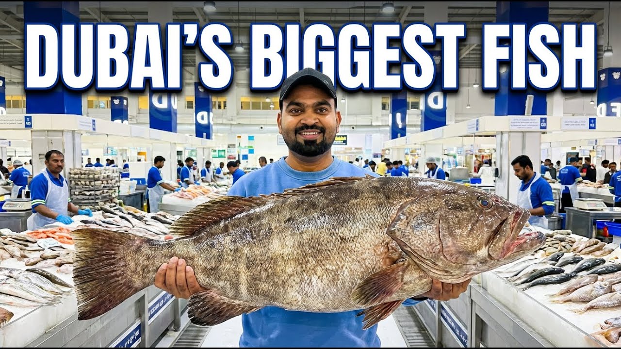 Dubai Waterfront Fish Market 🐟 | World Biggest Fish Market ಅನುಭವ|Royalismail