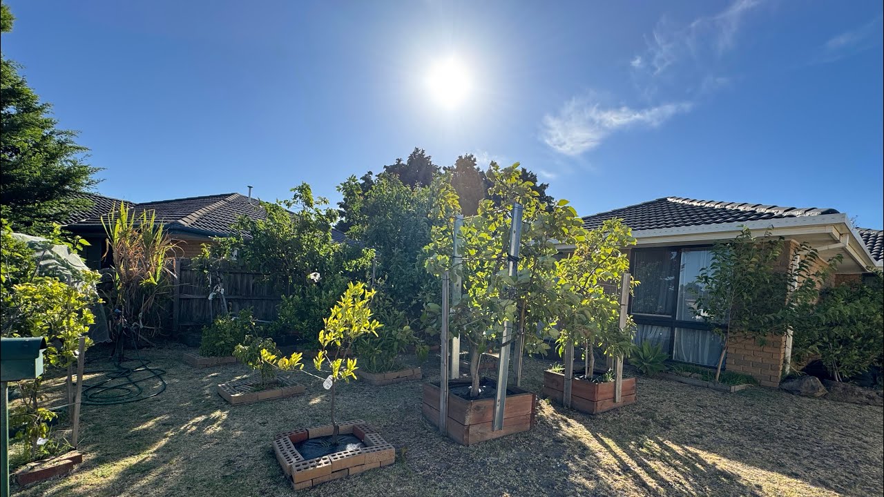 18/01/26 FRONT YARD UPDATE + 3 days big windy  MELBOURNE 🇳🇿💥