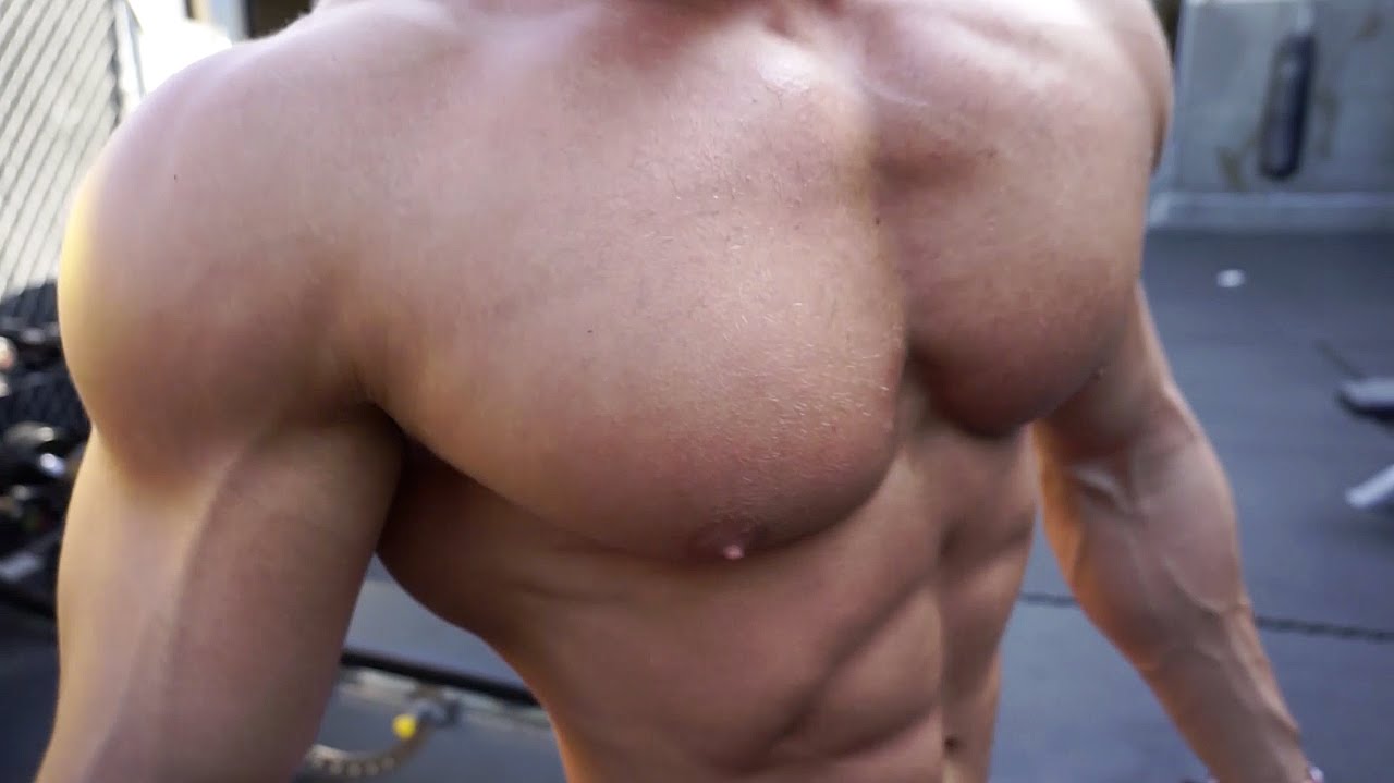 Outdoor Chest and Shoulder Workout Golds Gym Venice