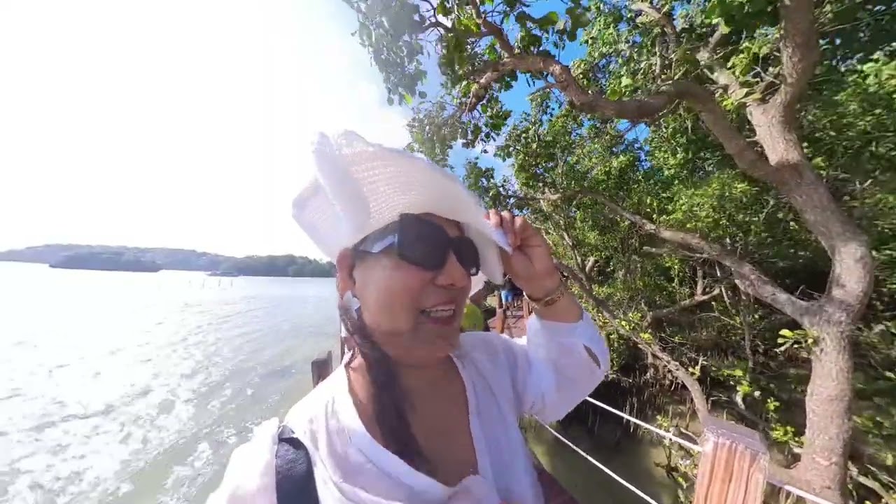 Day 2: Boracay Land Tour - Mangroves