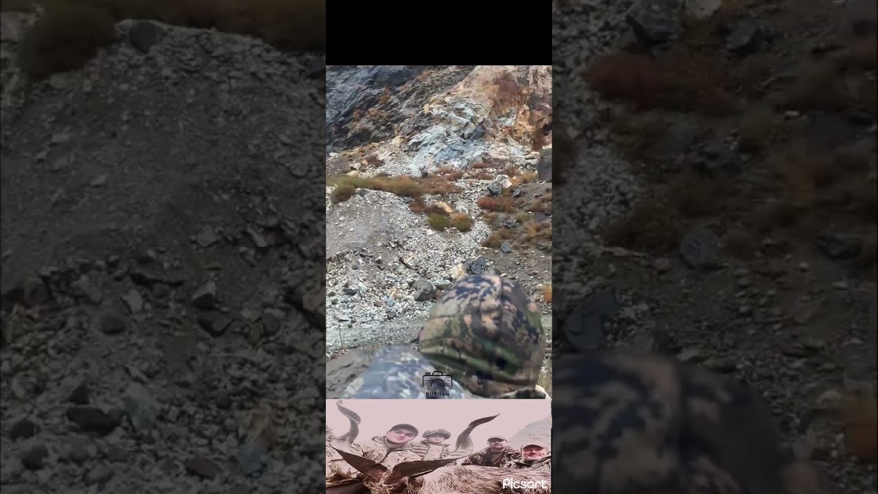 "Gahirat Gol Chitral: Exclusive Markhor Hunting Moments 🦌"