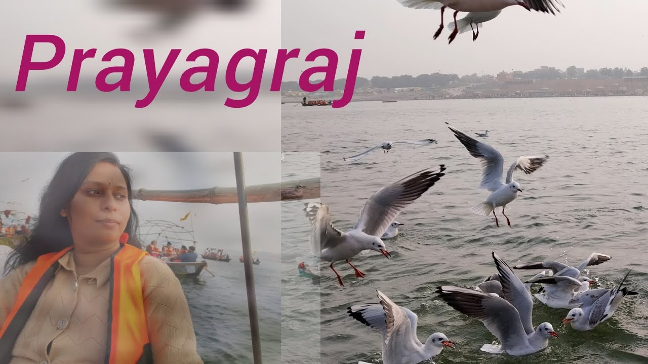 Prayagraj 💕 magh mela m snan or poojan🙏