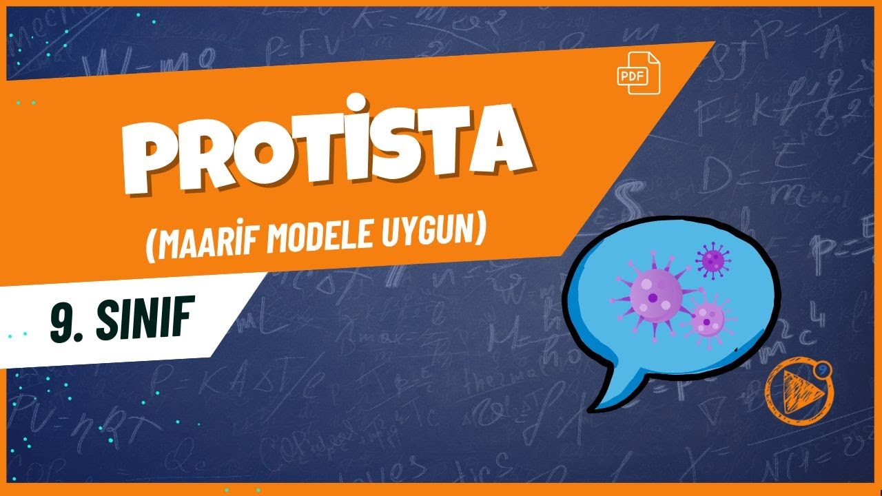 Protista | 9. Sınıf Biyoloji Konu Anlatımı | 2025- 2026