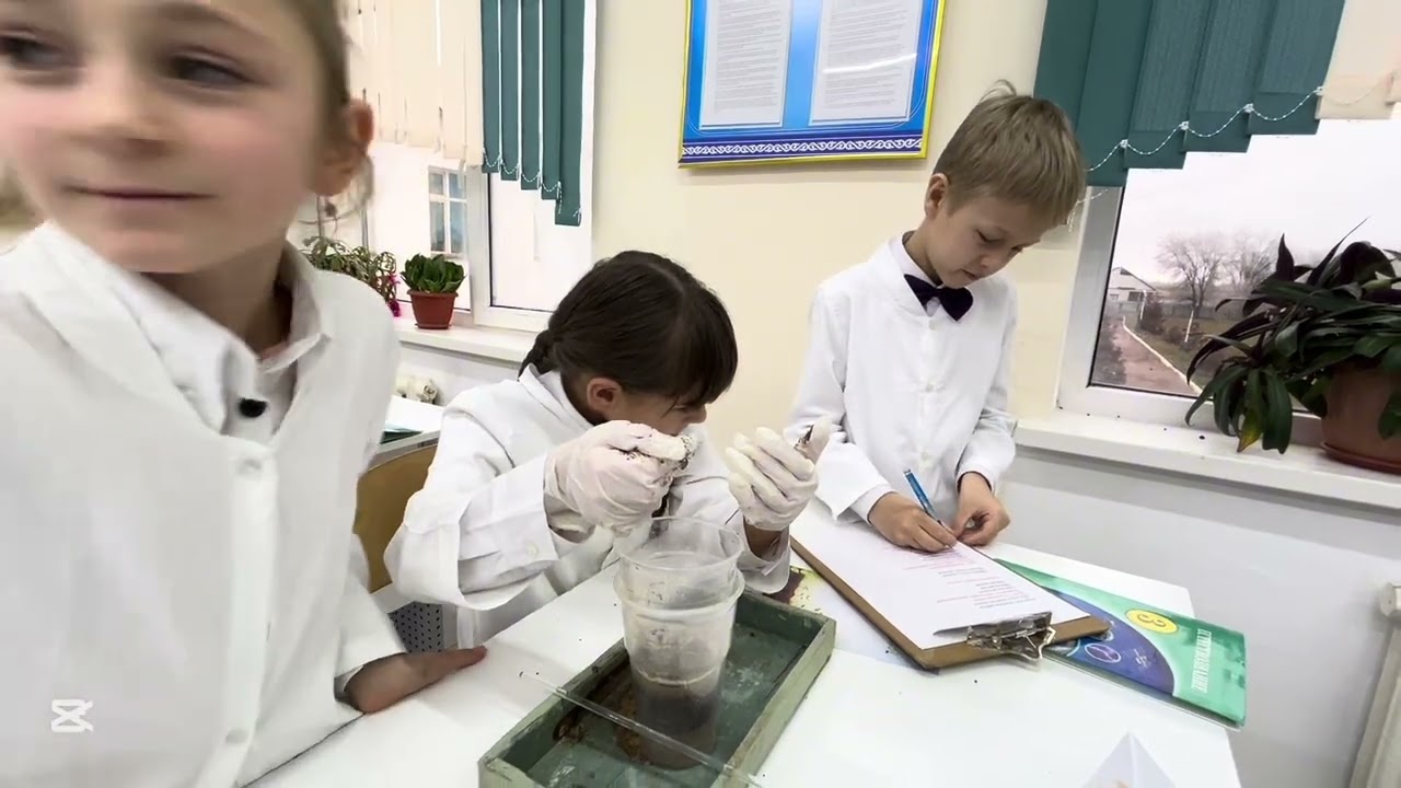 Конкурс “Лучший урок”