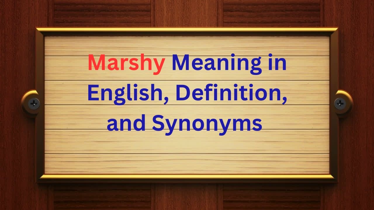 Marshy Meaning in English | Definition, Pronunciation, Synonyms and Examples