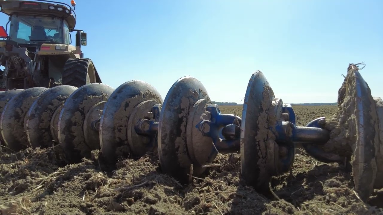 Bute Discs Different Chain Setups Explained
