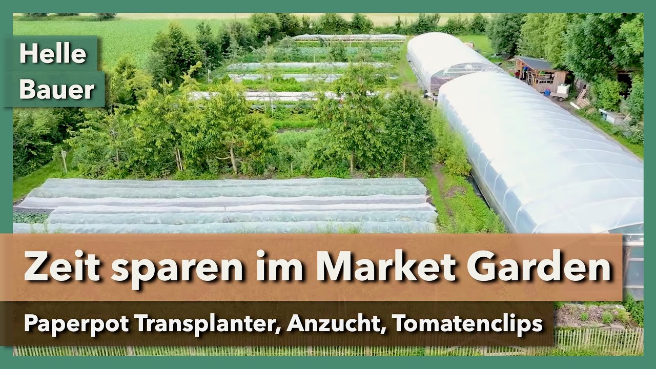 Zeit sparen in der Marktgärtnerei - Paperpots, Anzucht, Clips | Helle Bauer | Rundgang 1 | 2023