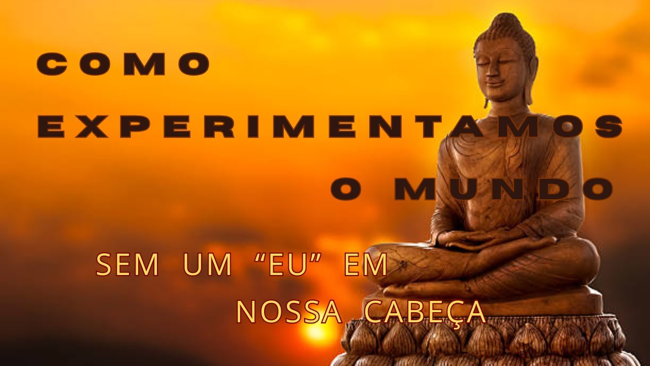 Experiências sensoriais na perspectiva budista: como experimentamos o mundo.