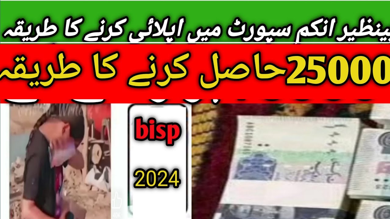 how to check bisp 25000|بینظیر انکم سپورٹ پروگرام میں 25000لینے کا طریقہ|bisp25000