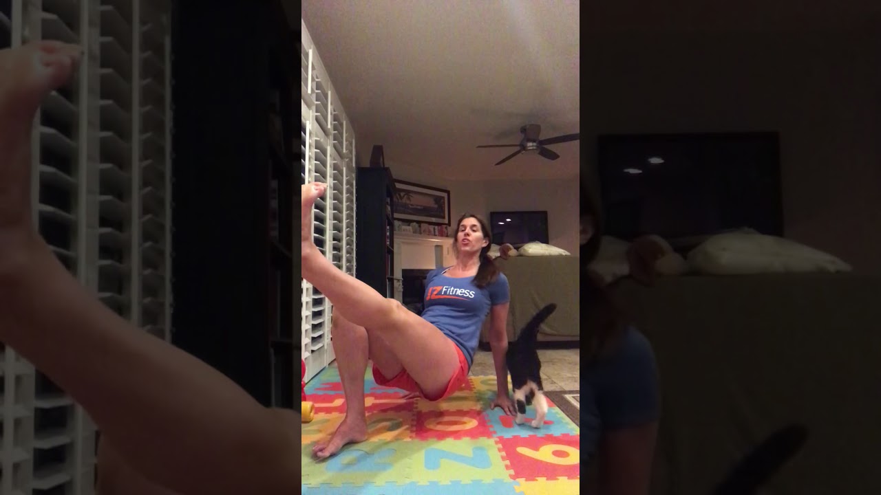 Reverse Plank with Toe Touch with JZ FITNESS