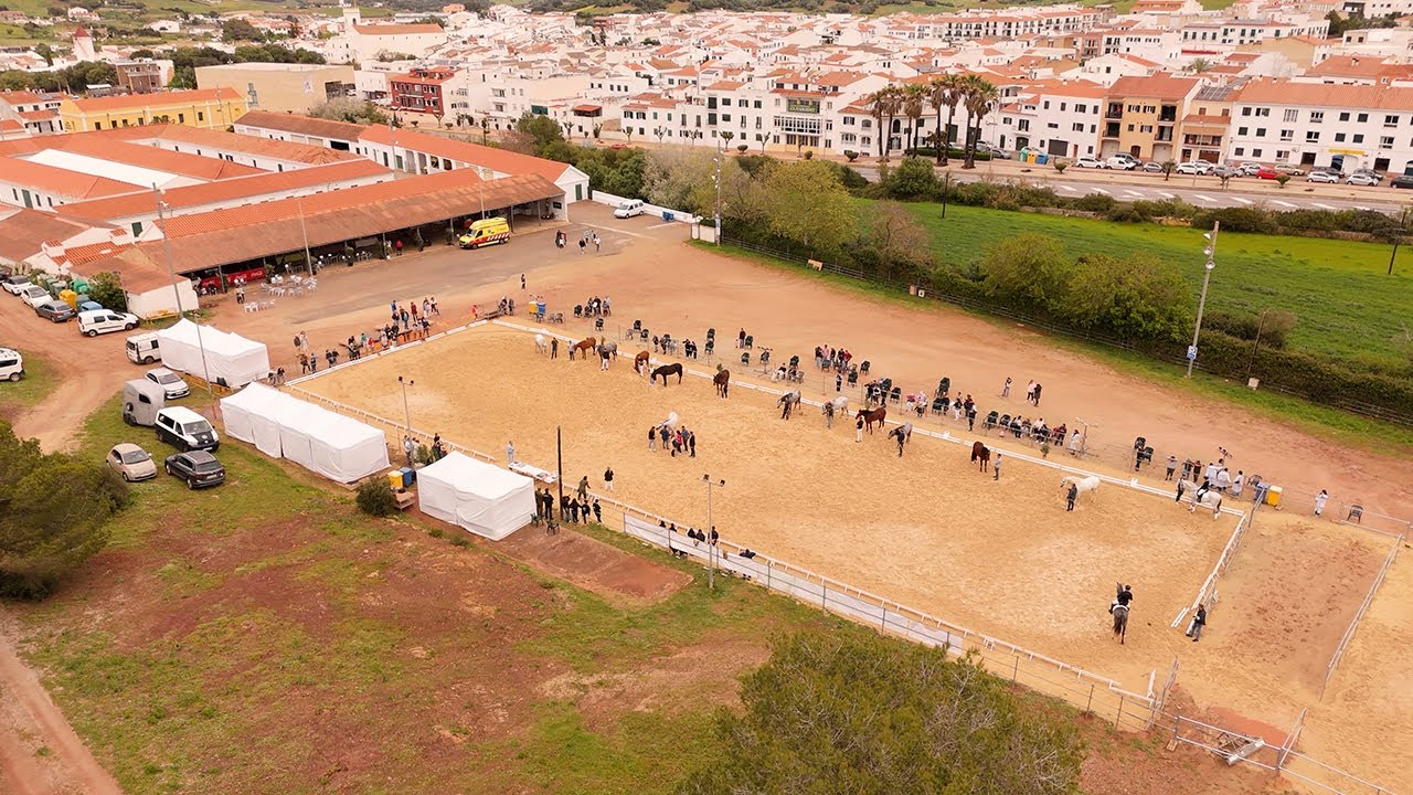 XII Campeonato de Baleares | Concurso Morfo-Funcional del Caballo de Pura Raza Española 2025