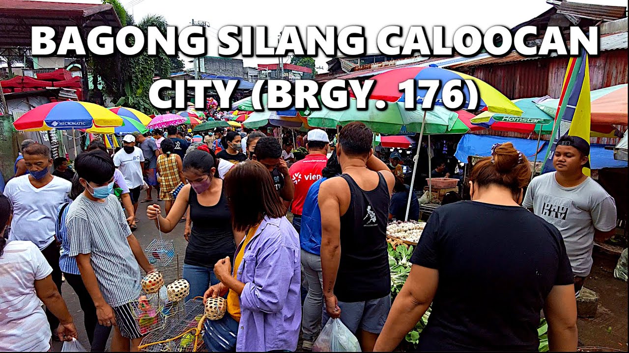 EXPLORING THE BUSTLING MARKET AND ALLEY LIFE IN BAGONG SILANG CALOOCAN CITY (BRGY. 176)  [4K]