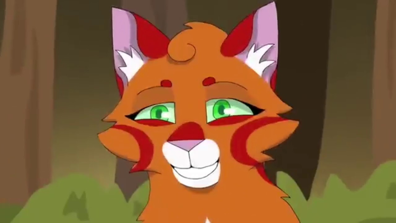 AMV Poil d'écureuil et griffes de ronces [je t'aime mais je te hais]