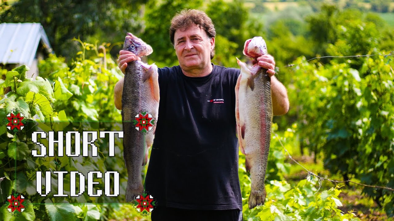Incredibly delicious: Salmon Trout Fillets with Breaded Zucchini and Eggplant