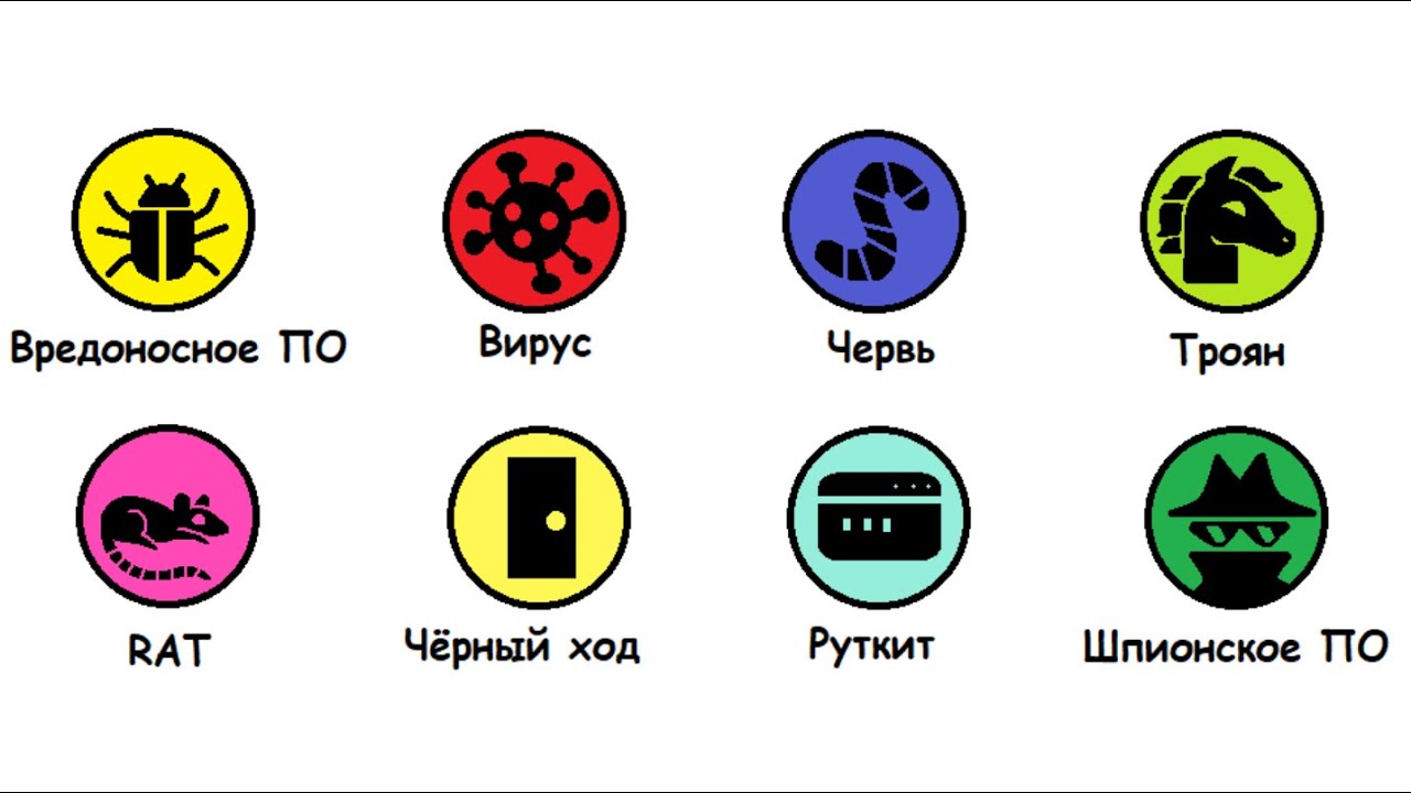 Все виды вирусов за 10 минут