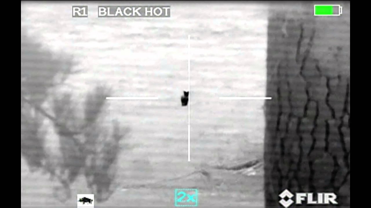 COYOTE HUNTING DOUBLE WITH THERMAL AND SUPPRESSOR