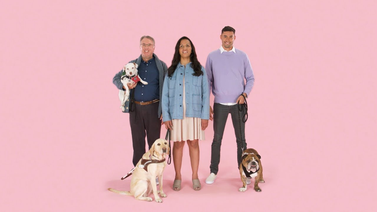 3-Minute How-To: Service Animals