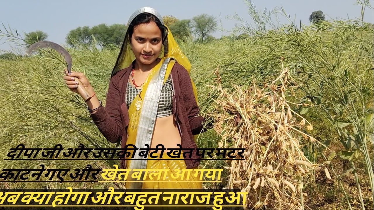Khet par mater katne gaye (सब लोग ओर छोटी बेटी ने दही भात चढ़ाया खेत में)deepa ji k vlog😜