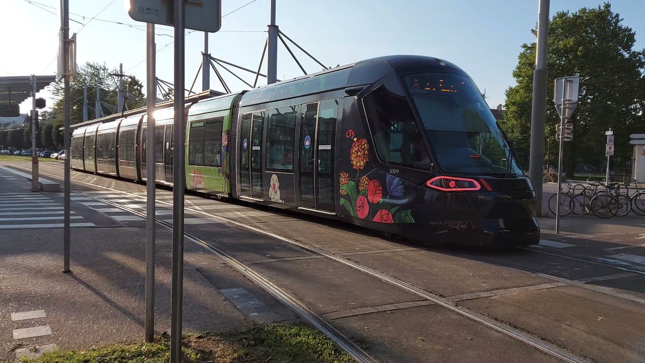 les tram de la ligne A et D