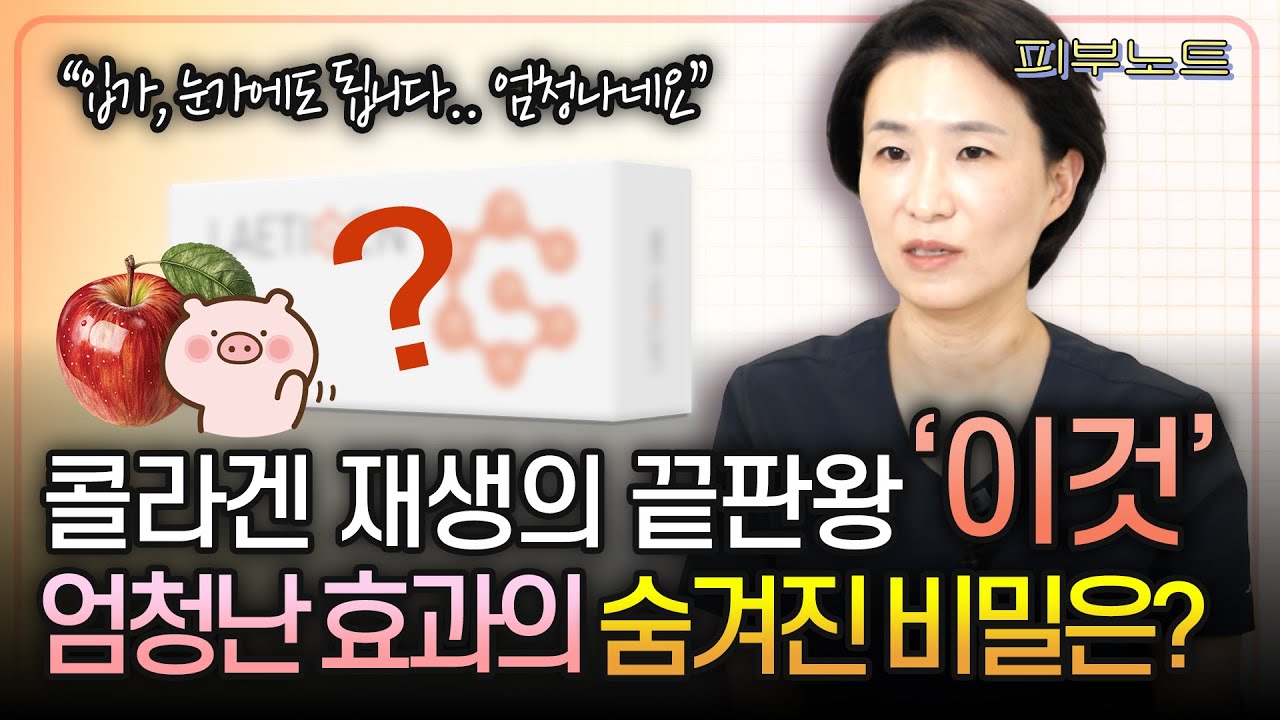 콜라겐의 왕 레티젠의 미친 성능 | 어쩌면 리투오보다 뛰어납니다