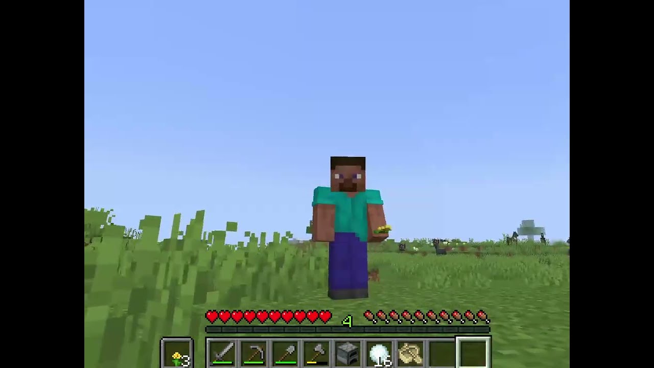 I got a bee friend in Minecraft :)
