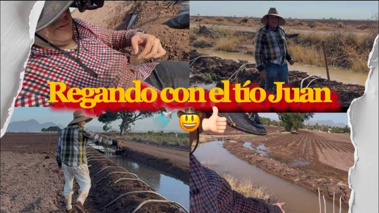 REGANDO PARA  SEMBRAR MAÍZ 🌽🚿 |Juandiego Cardenas.|