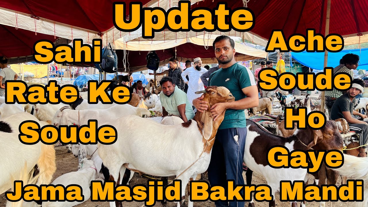 Jama masjid bakra mandi || Ache Soude ho gaye
