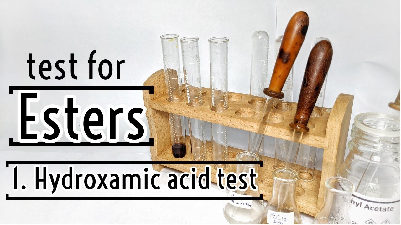 Test for ester : Hydroxamic acid test