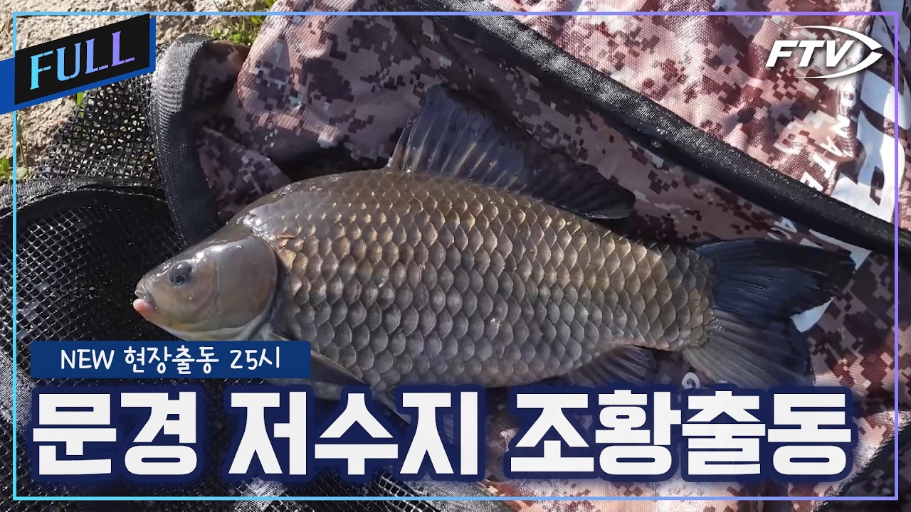 유튜버 총출동한 경북 문경 저수지 조황출동[NEW현장출동 25시/133회]