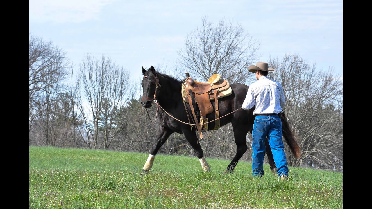 Otázky & Odpovědi s Barrels & Horsemanship
