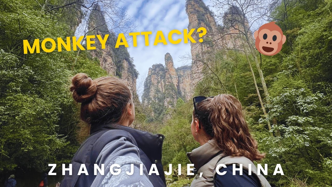 Avatar Mountains and Attacked by a Monkey??