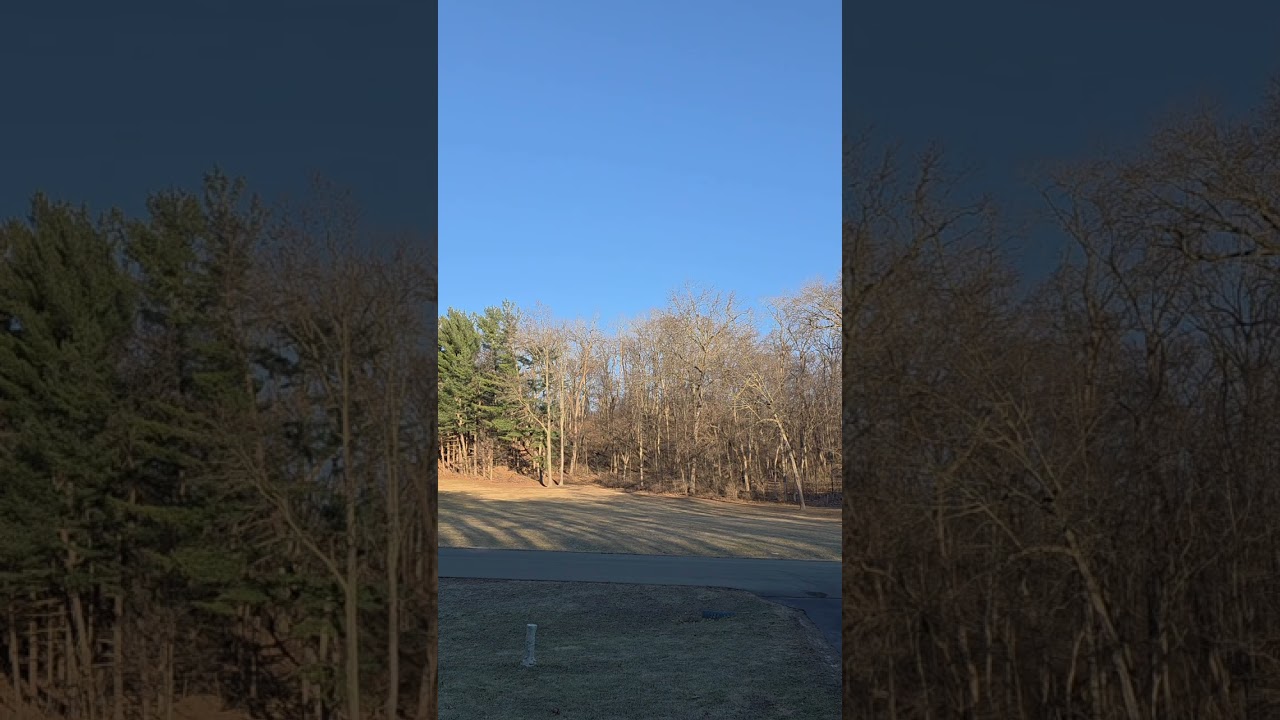 Calming nature sounds #calm #relaxing 