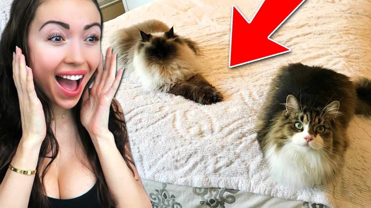 THEIR FIRST SLEEPOVER!!