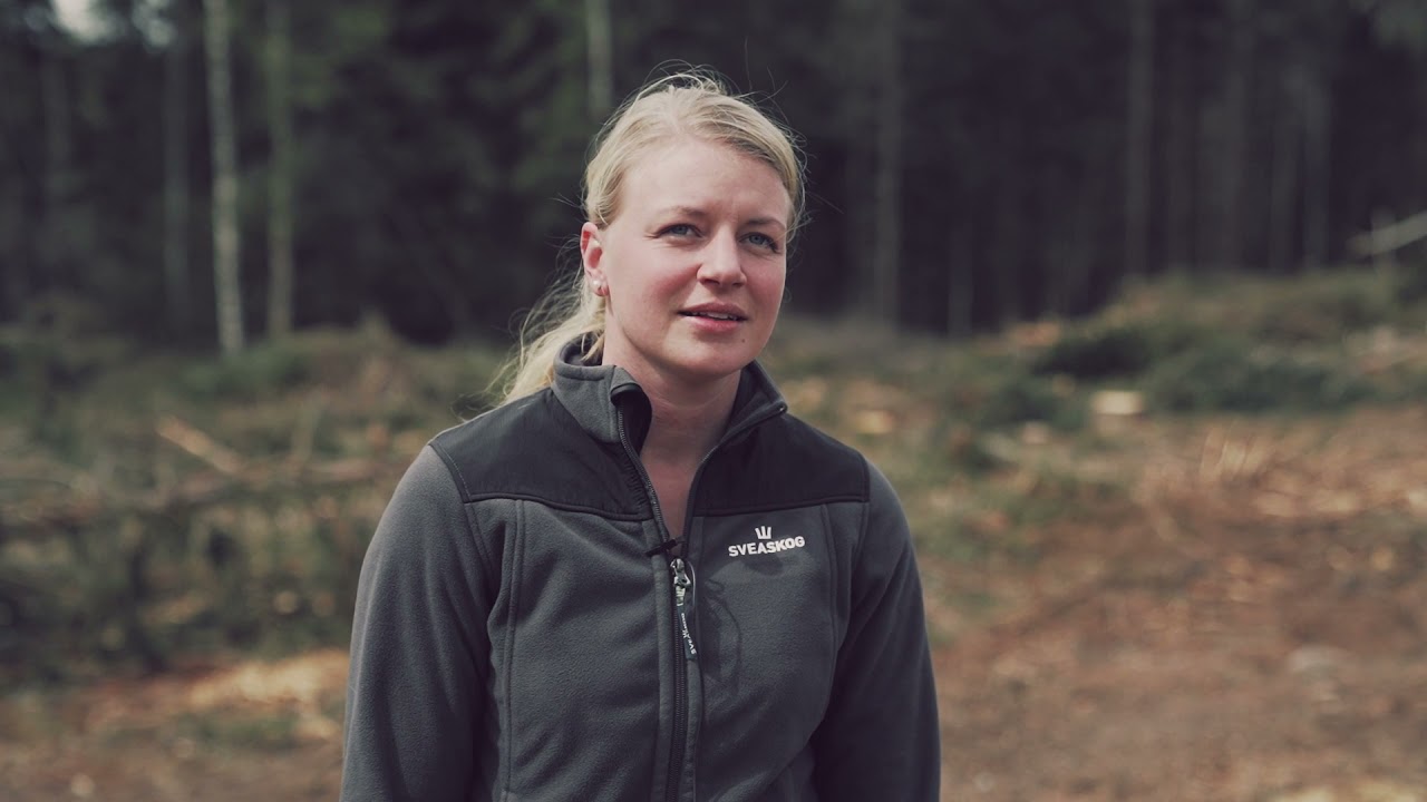 Åtgärda vandringshinder – filmproduktion åt Sportfiskarna