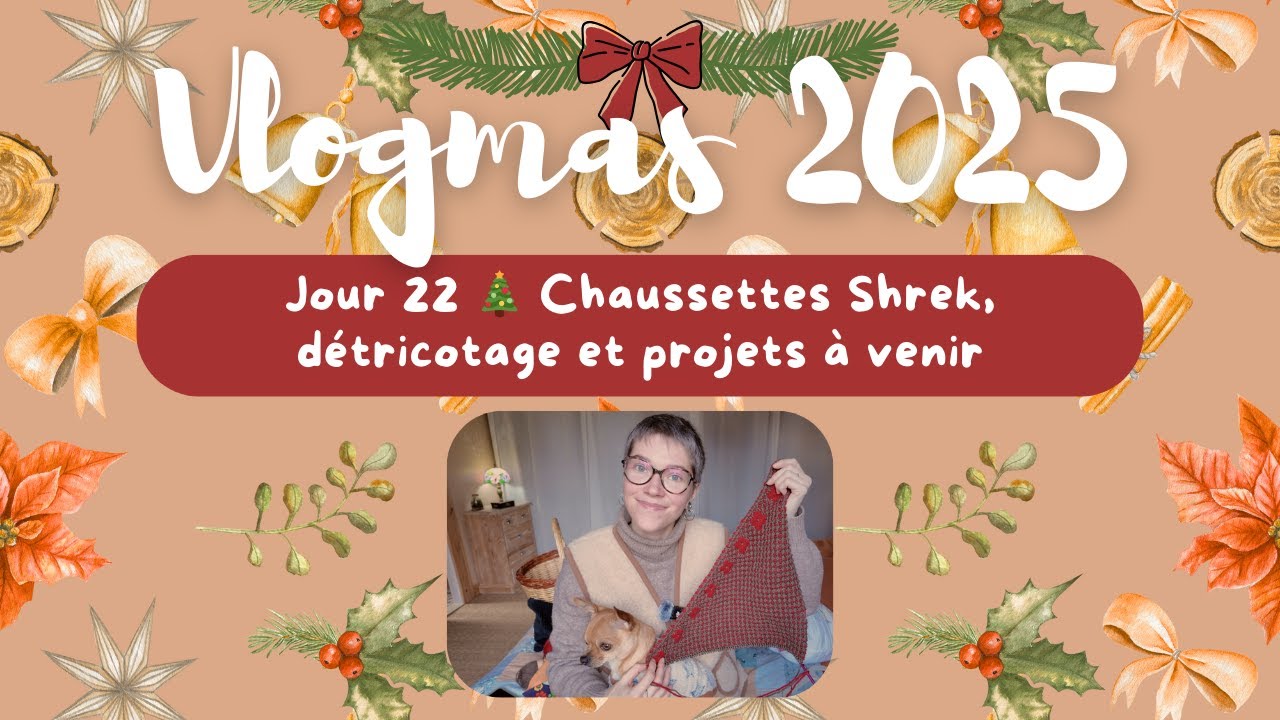Vlogmas tricot #22 🎄: Chaussettes Shrek, détricotage et projets à venir