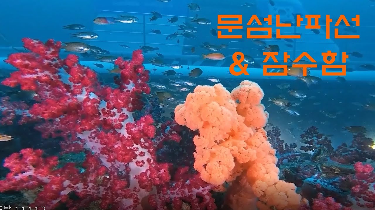 F32. #문섬난파선.문섬잠수함. 문섬다이빙. EP-02