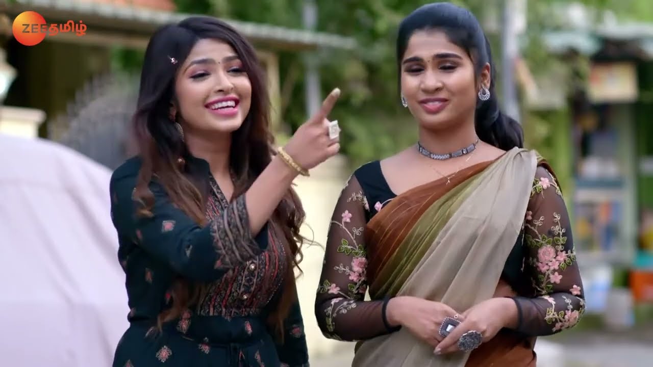 Hasini Creates a Scene - Thirumathi Hitler - Full Ep 248 - Zee Tamil