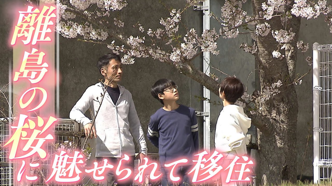 【特集】離島の「桜」に魅せられて移住　島唯一の小学校で“たった1人の卒業式