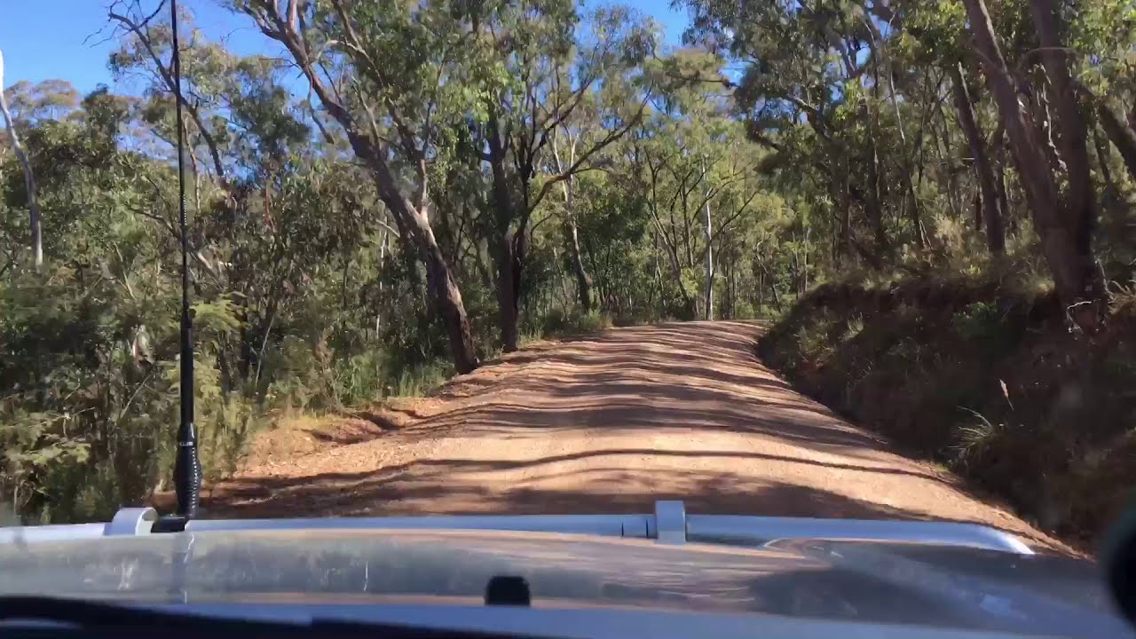 THE DRIVE INTO SHEEPYARD FLAT - CAMPING IN A BIRD SANCTUARY