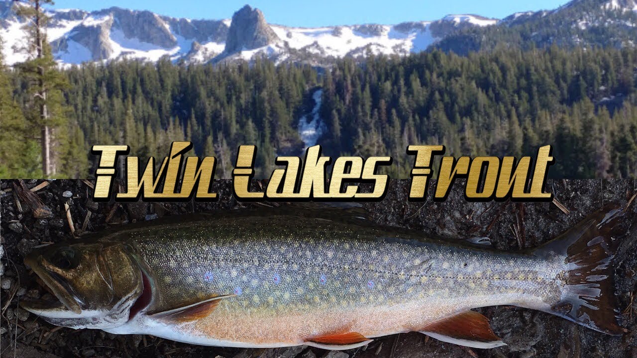 Episode 12: Twin Lakes (Mammoth) Fishing