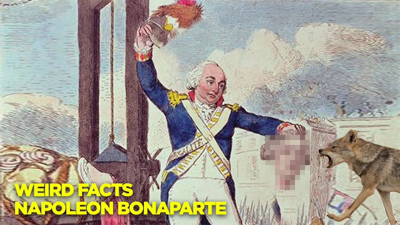 Weird Things You Didn't Know about Napoleon Bonaparte
