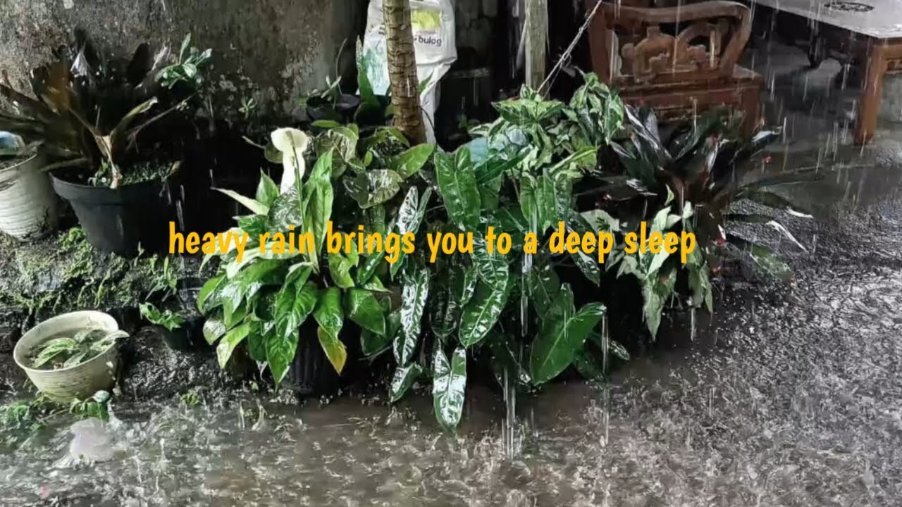 heavy rain brings you to a deep sleep