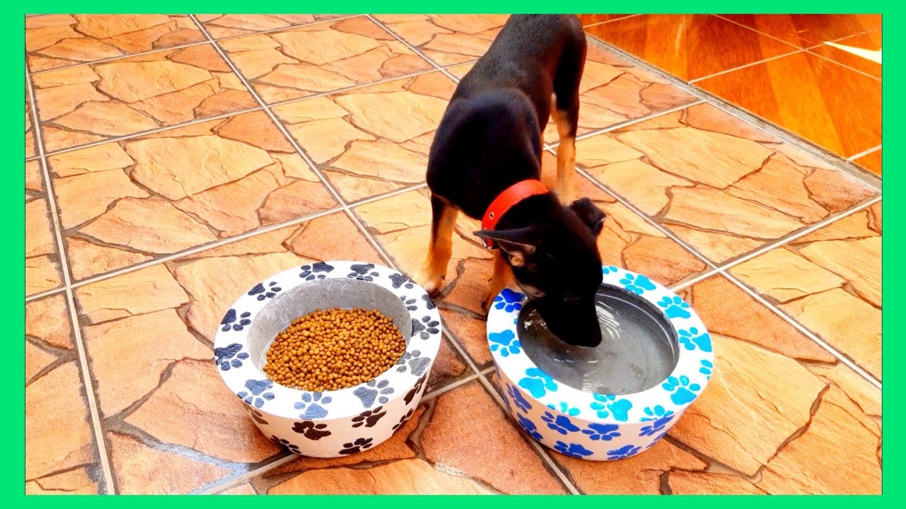 ideia de como fazer comedouro e bebedouro de cimento para cachorro, faça isso e ganha dinheiro.