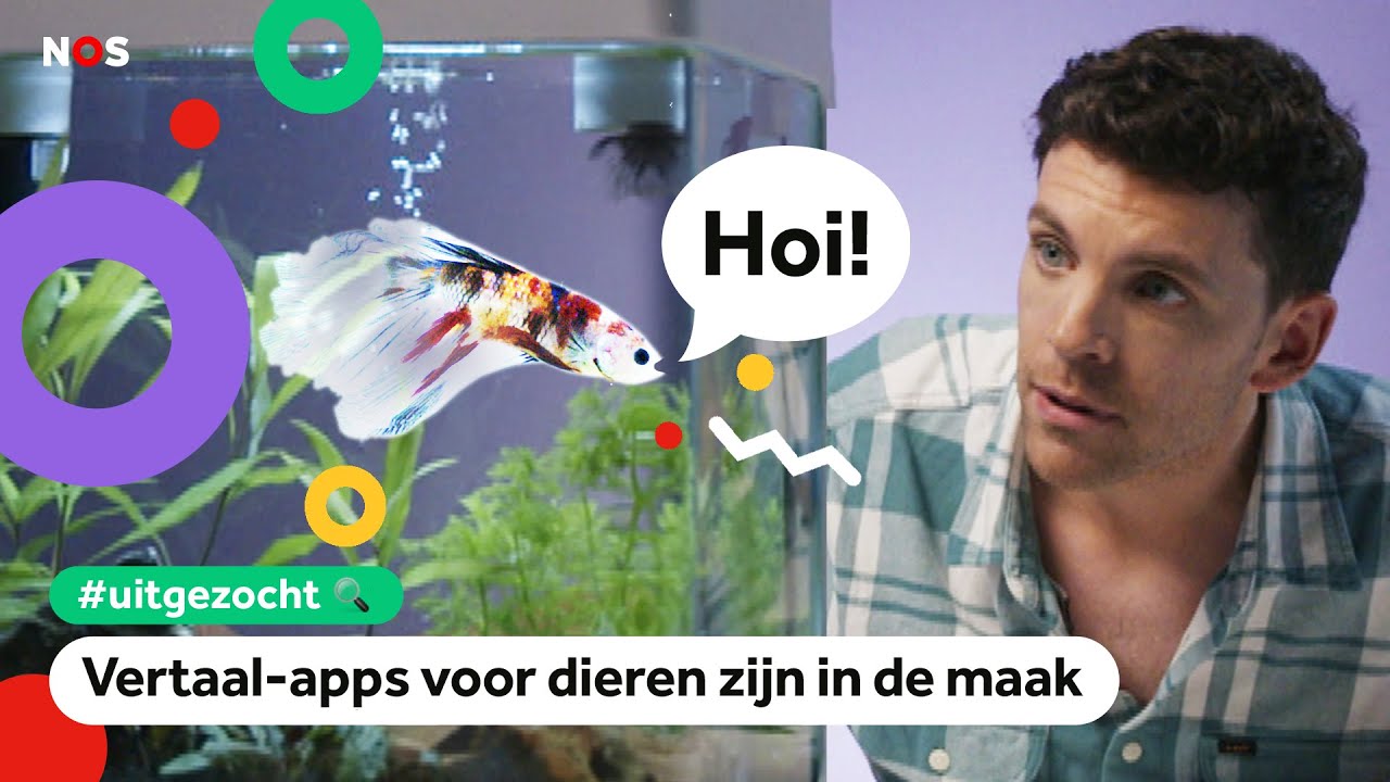 Kun je straks dieren verstaan? 🙊 | UITGEZOCHT #71